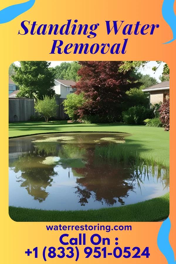 Standing Water Removal in Strasburg, IL